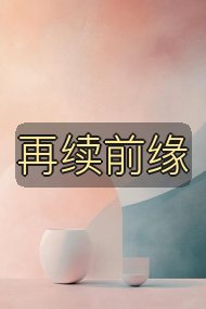 再续前缘封面