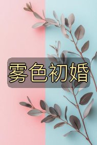 雾色初婚封面