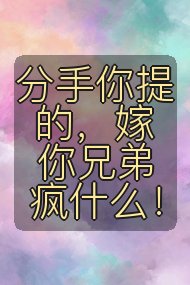 分手你提的,嫁你兄弟疯什么!封面