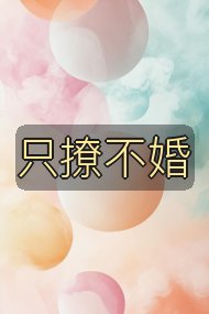 只撩不婚封面