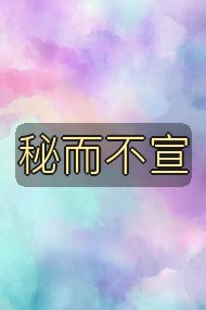 秘而不宣封面