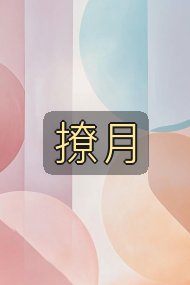 撩月封面