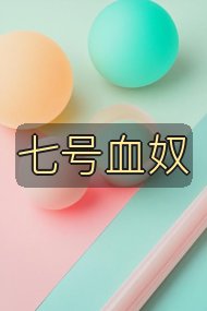 七号血奴封面
