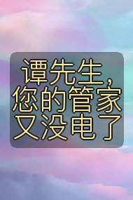 谭先生,您的管家又没电了封面