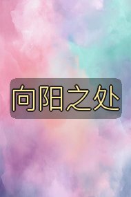 向阳之处封面