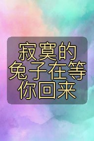寂寞的兔子在等你回来封面