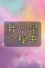我只是个秘书封面