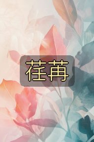 荏苒封面