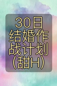 30日结婚作战计划(甜H)封面