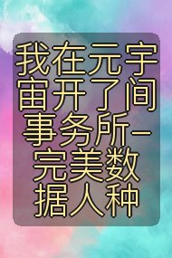 我在元宇宙开了间事务所- 完美数据人种封面