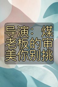 导演:煤老板的审美你别挑封面