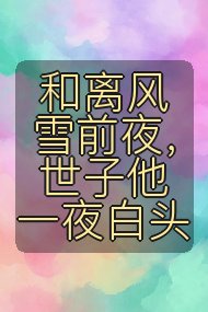 和离风雪前夜,世子他一夜白头封面