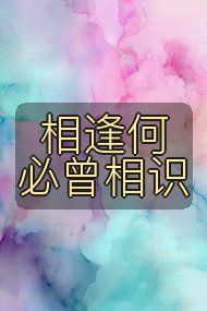 相逢何必曾相识封面