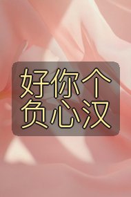 好你个负心汉封面