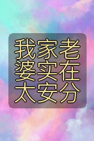 我家老婆实在太安分封面